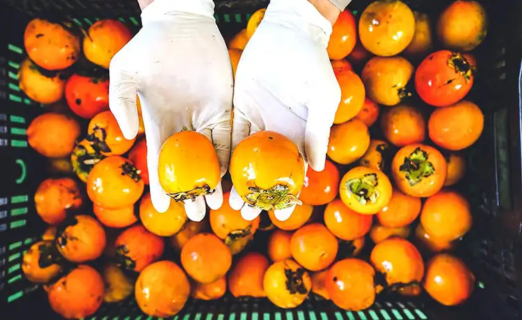 hồng giòn đà lạt