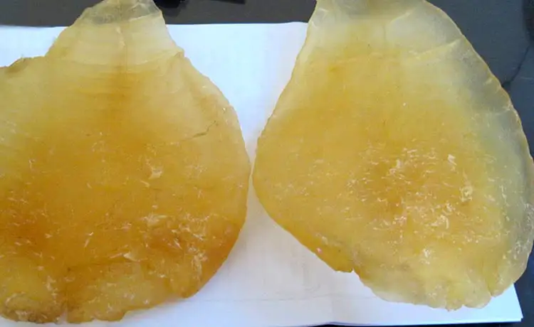 đặc sản bong bóng cá nha trang