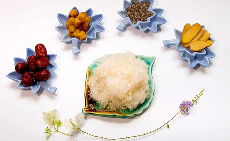 đặc sản yến sào nha trang