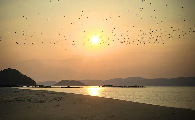 du lịch đảo cô tô con