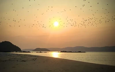 Đảo Cô Tô Con - Du lịch Cô Tô