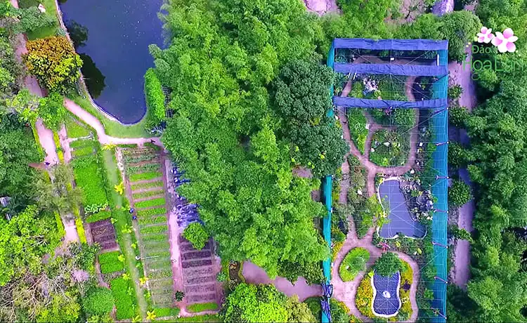 du lịch đảo hoa lan nha trang