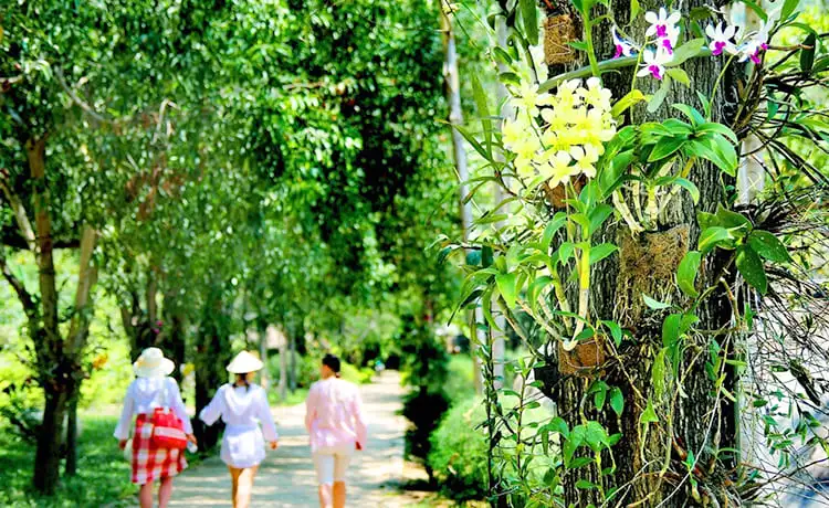 du lịch đảo hoa lan nha trang