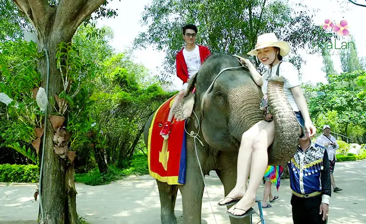 du lịch đảo hoa lan nha trang