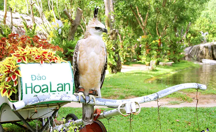 du lịch đảo hoa lan nha trang