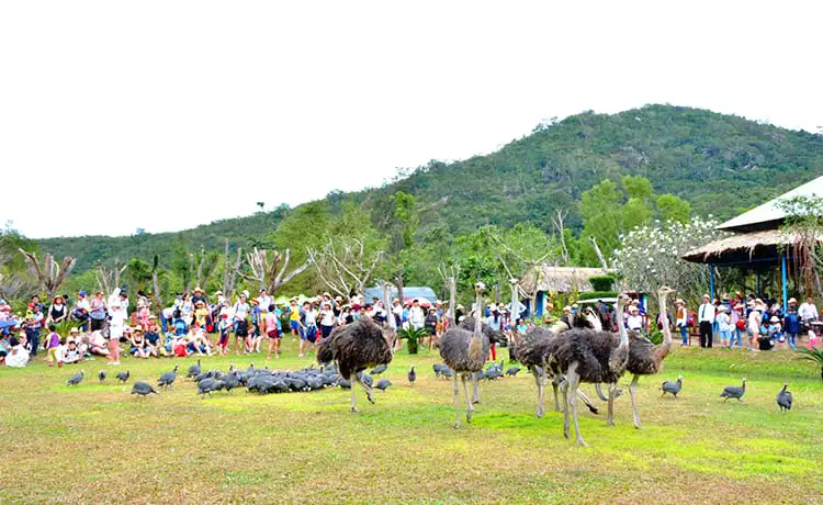 du lịch đảo hoa lan nha trang