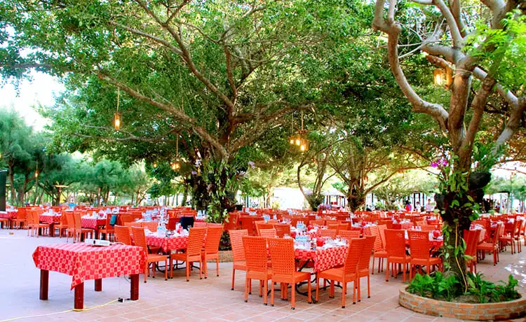 du lịch đảo hoa lan nha trang