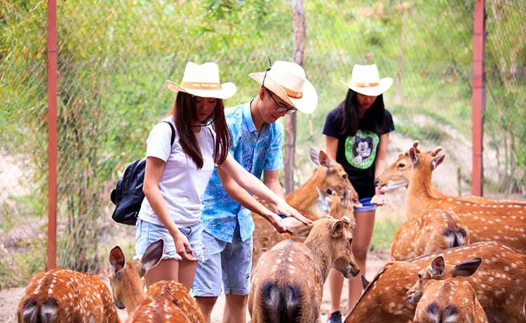 du lịch đảo hoa lan nha trang