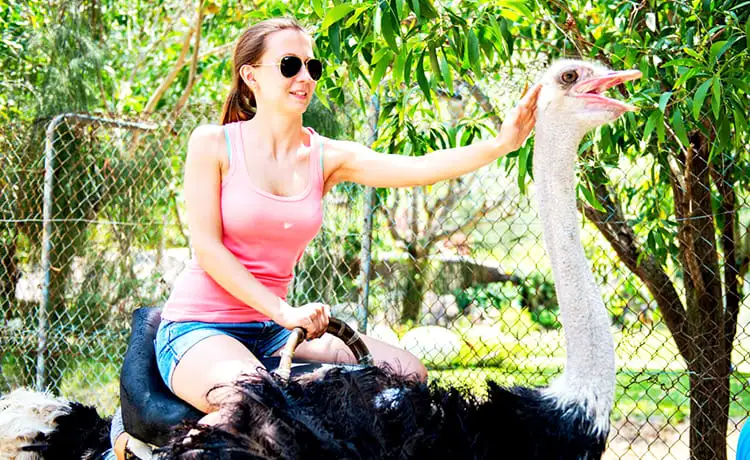 du lịch đảo khỉ nha trang