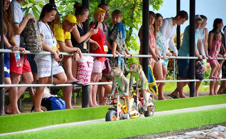 du lịch đảo khỉ nha trang