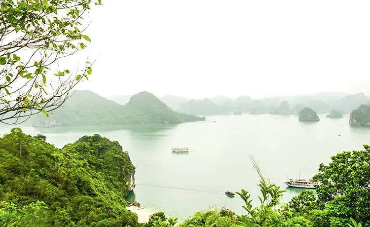 đảo soi sim vịnh hạ long