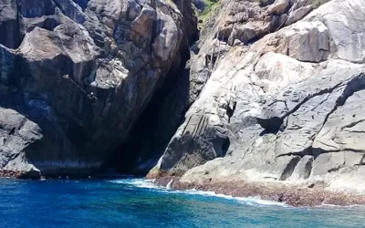 Đảo Yến Cù Lao Chàm - Kinh nghiệm du lịch Cù Lao Chàm