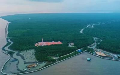 Đất Mũi Cà Mau - Điểm đến Cà Mau
