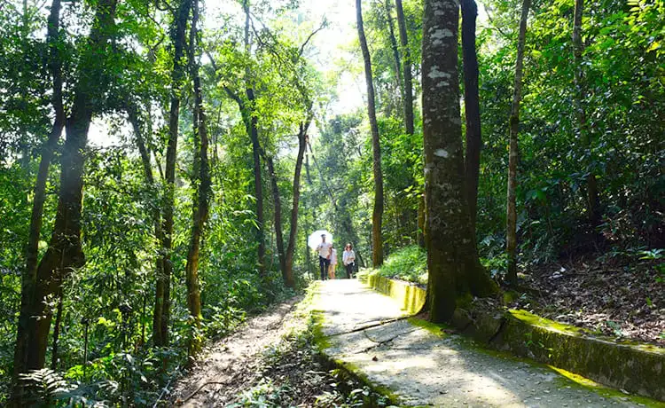 di tích rừng trân hưng đạo cao bằng