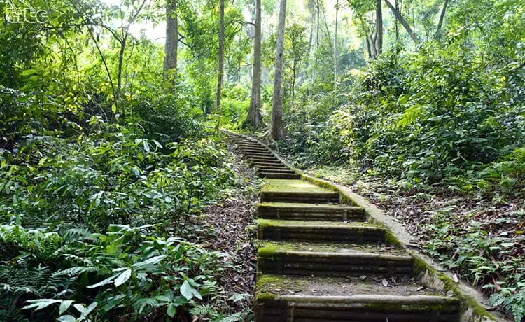 di tích rừng trân hưng đạo cao bằng