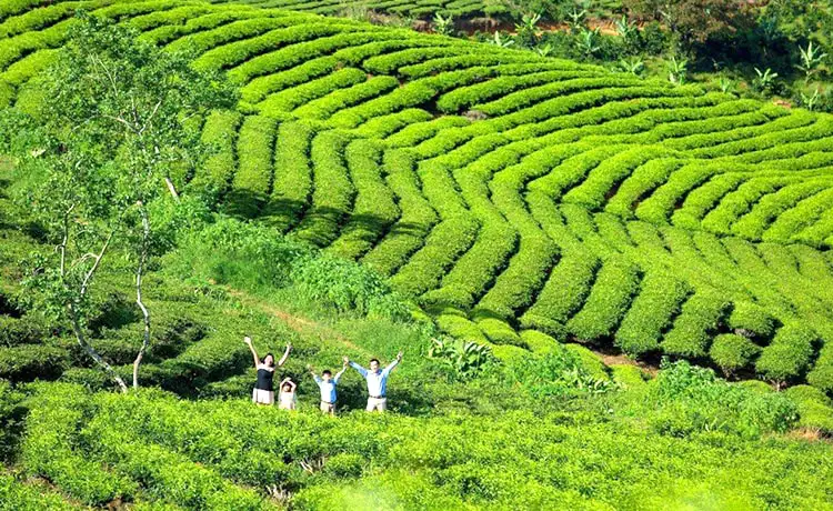 tour du lịch đà lạt 3 ngày 2 đêm