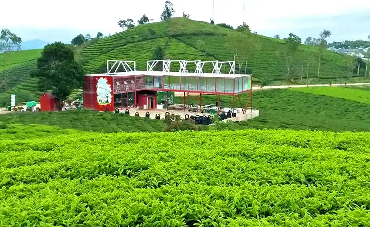 quán cafe đồi chè cầu đất farm đà lạt
