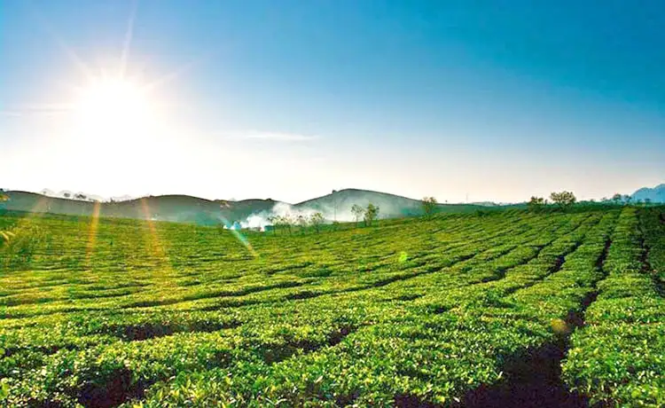 tour mai châu mộc châu 2 ngày 1 đêm tour mai châu mộc châu 2 ngày 1 đêm