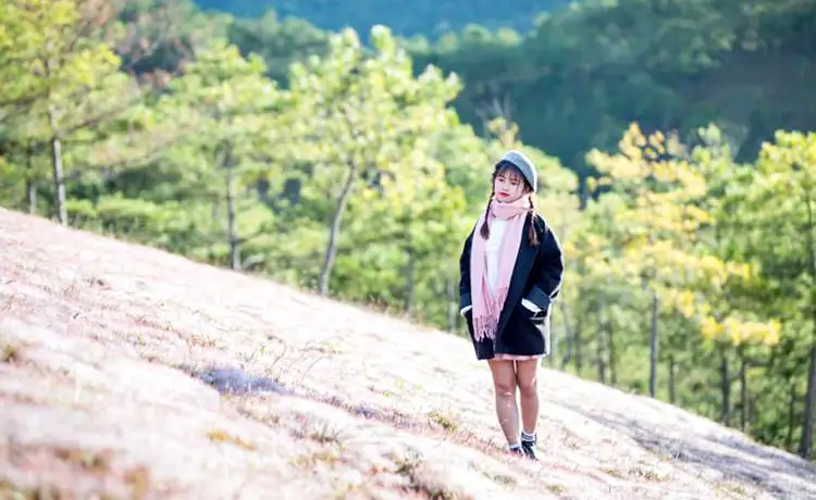 đồi cỏ hồng đà lạt