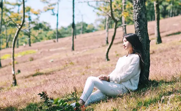 đồi cỏ hồng đà lạt