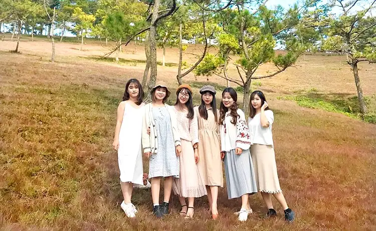 đồi cỏ hồng đà lạt