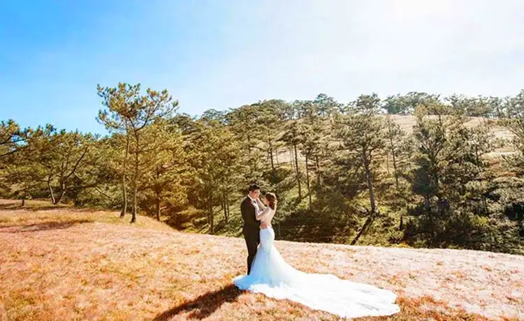 chụp ảnh cưới đồi cỏ hồng đà lạt