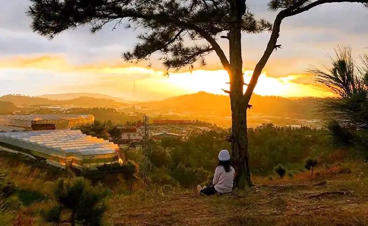 săn mây đồi thiên phúc đức đà lạt