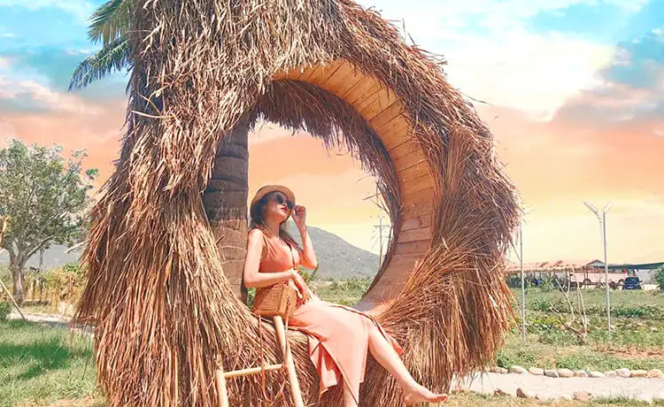 đồng cừu suối tiên nha trang