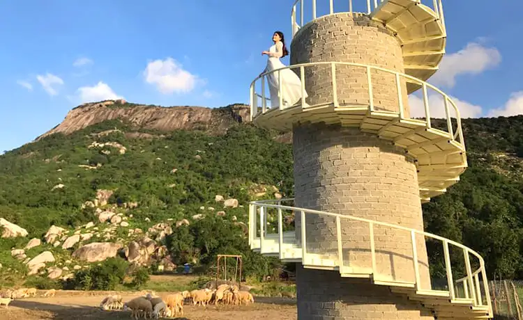 đồng cừu suối tiên nha trang