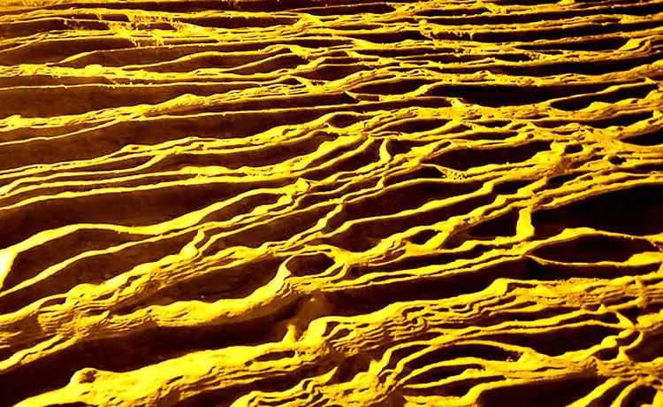 động ngườm ngao cao bằng