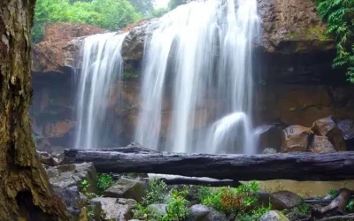 Động Sơn Mộc Hương - Hang Dơi Mộc Châu