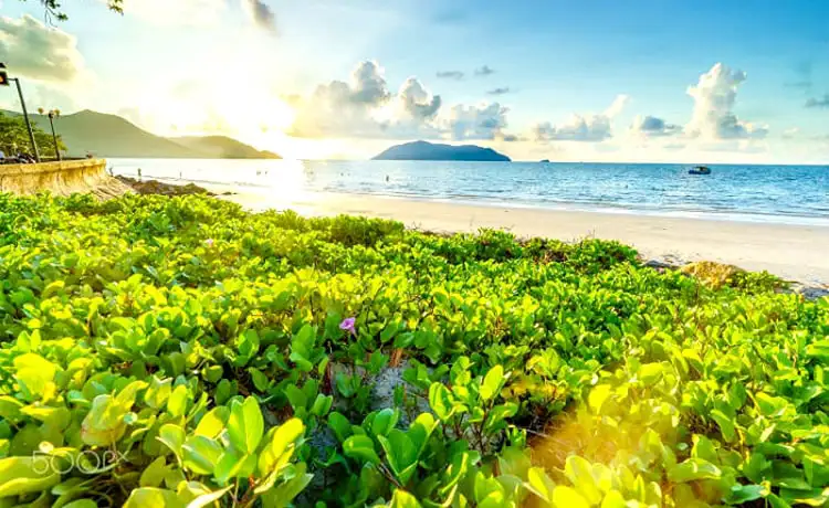 tour du lich vung tau con dao