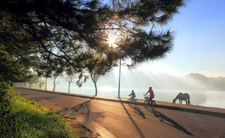 du lịch đà lạt bằng xe đạp