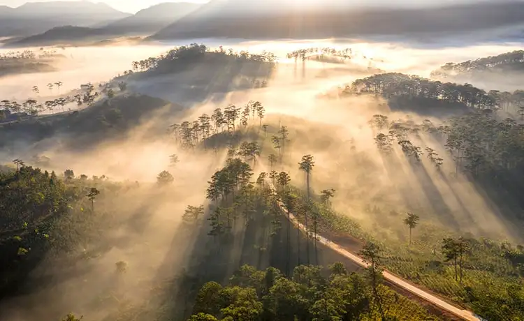 du lịch đà lạt mùa tết