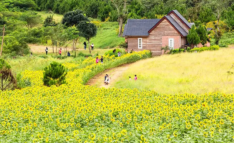 du lịch đà lạt mùa hè