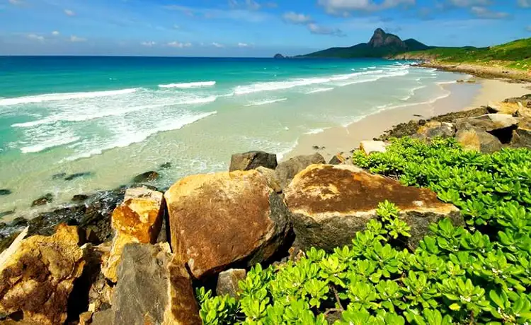 du lịch vũng tàu côn đảo bãi nhát