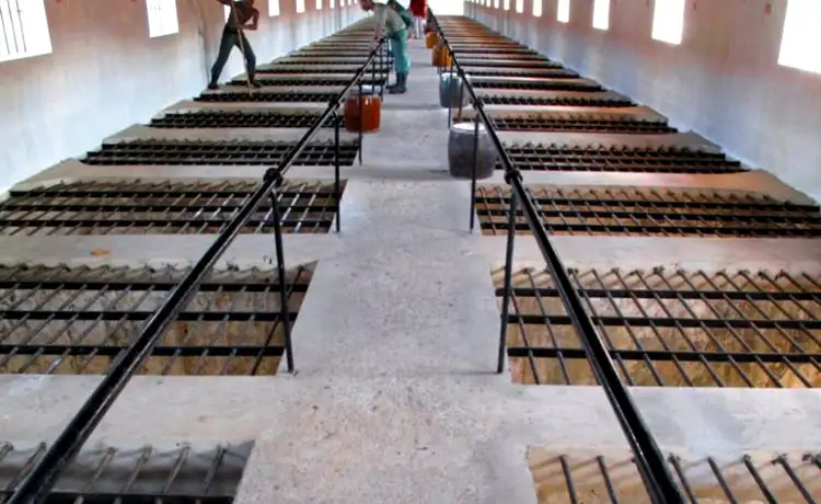 du lịch vũng tàu côn đảo chuồng cọp kiểu pháp