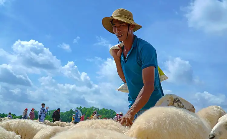 du lịch vũng tàu đồi cừu suối nghệ