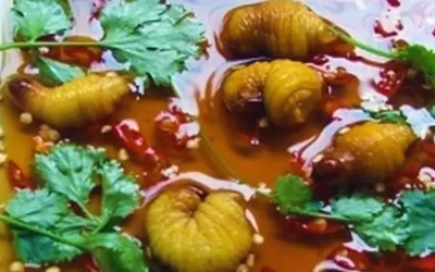 Đuông chà là - Đặc Sản Bạc Liêu