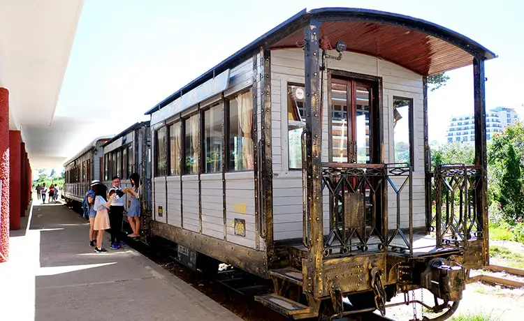 tour đồi chè cầu đất farm đà lạt 1 ngày tour đồi chè cầu đất farm đà lạt 1 ngày