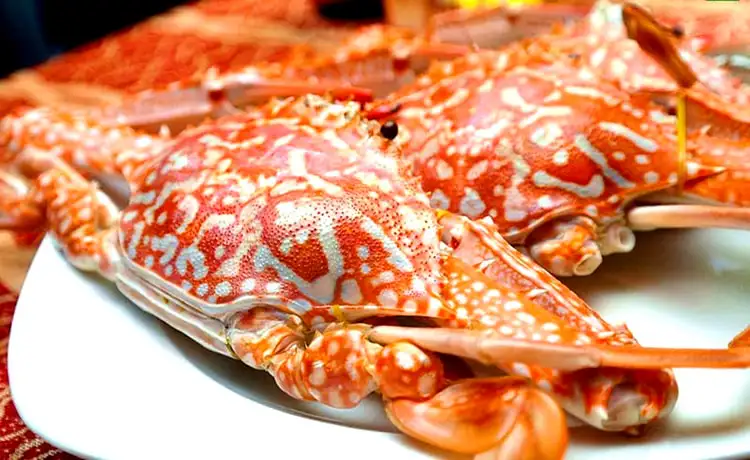 ghẹ hấp bình hưng