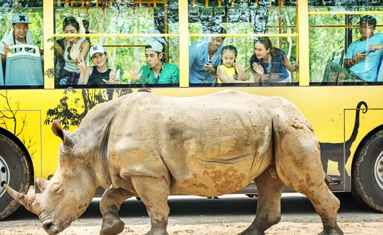 đặt vé Safari Phú Quốc