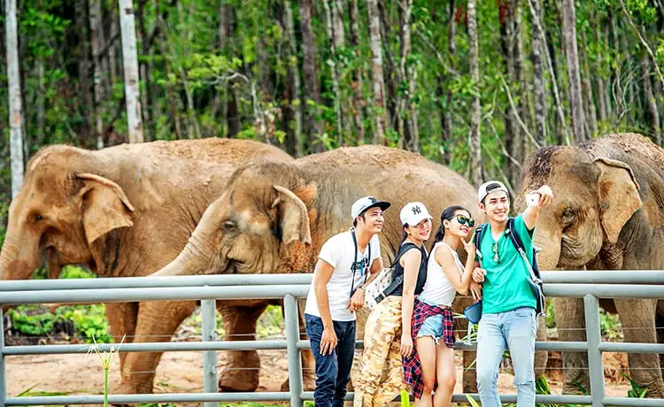 đặt vé Safari Phú Quốc