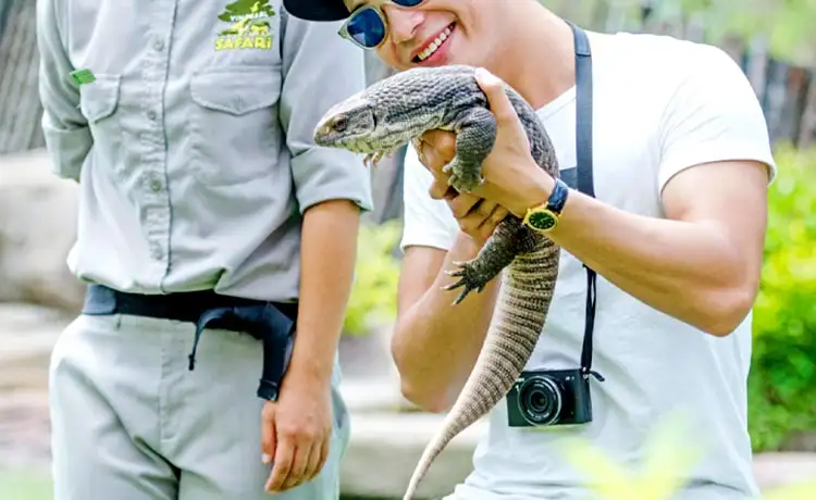 đặt vé Safari Phú Quốc