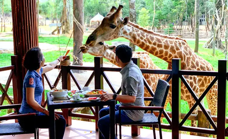 tour du lịch Phú Quốc
