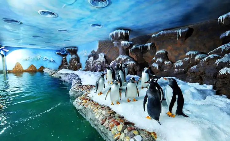 đặt vé Vinwonders Phú Quốc