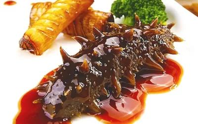 Hải sâm - Đặc sản Phú Quý