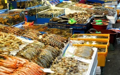 Hải sản tươi sống - Vịnh Hạ Long