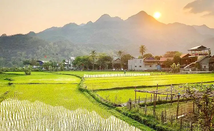 tour mai châu mộc châu 2 ngày 1 đêm tour mai châu mộc châu 2 ngày 1 đêm