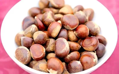 Hạt dẻ Trùng Khánh Cao Bằng - Đặc sản Cao Bằng